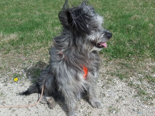 Im Frühjahr 2017 (8)